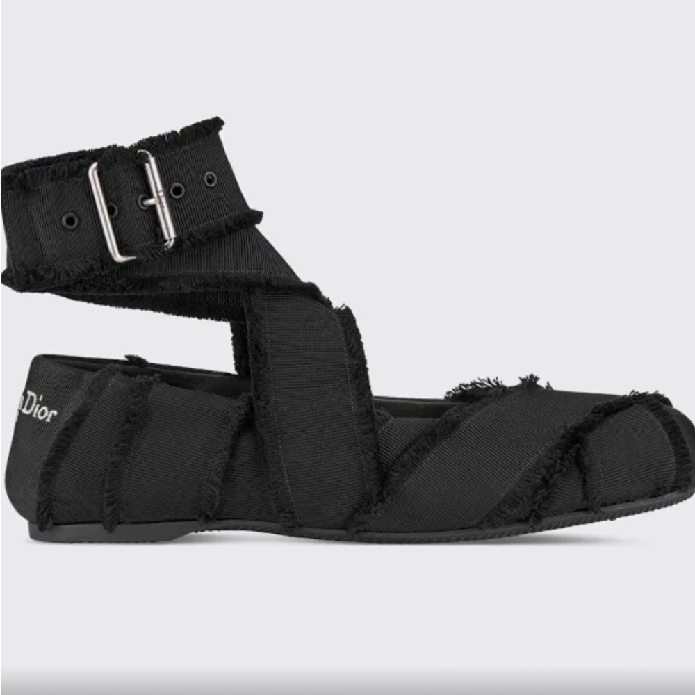 Christian Dior Songe Ballerinas